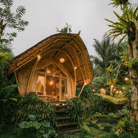 Arcada Bali Bamboo House Villa Sidemen  Bagian luar foto