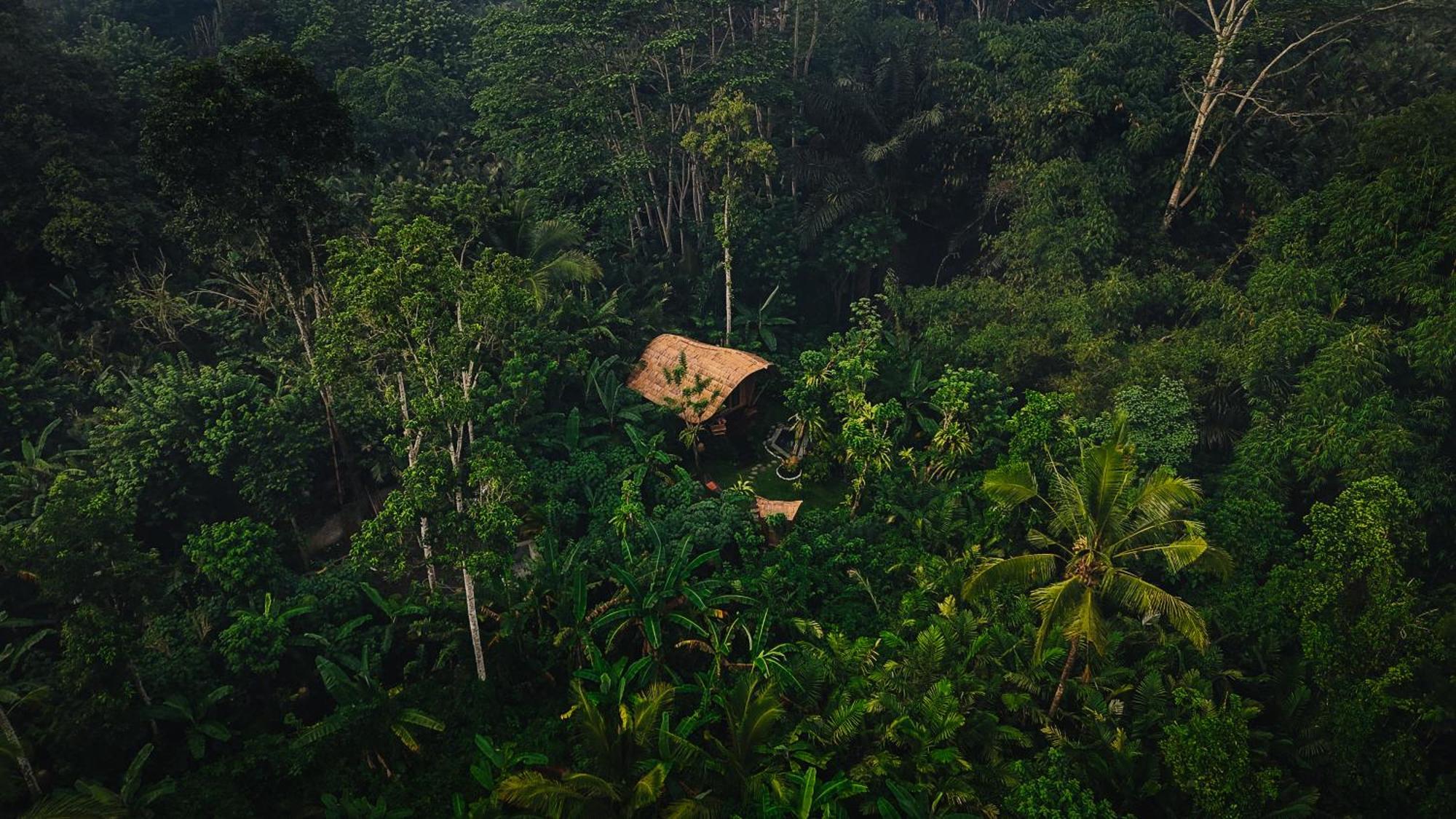 Arcada Bali Bamboo House Villa Sidemen  Bagian luar foto
