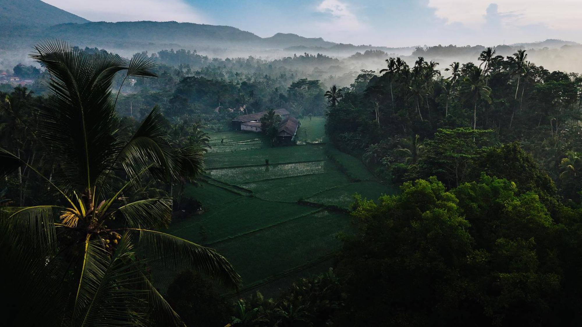 Arcada Bali Bamboo House Villa Sidemen  Bagian luar foto