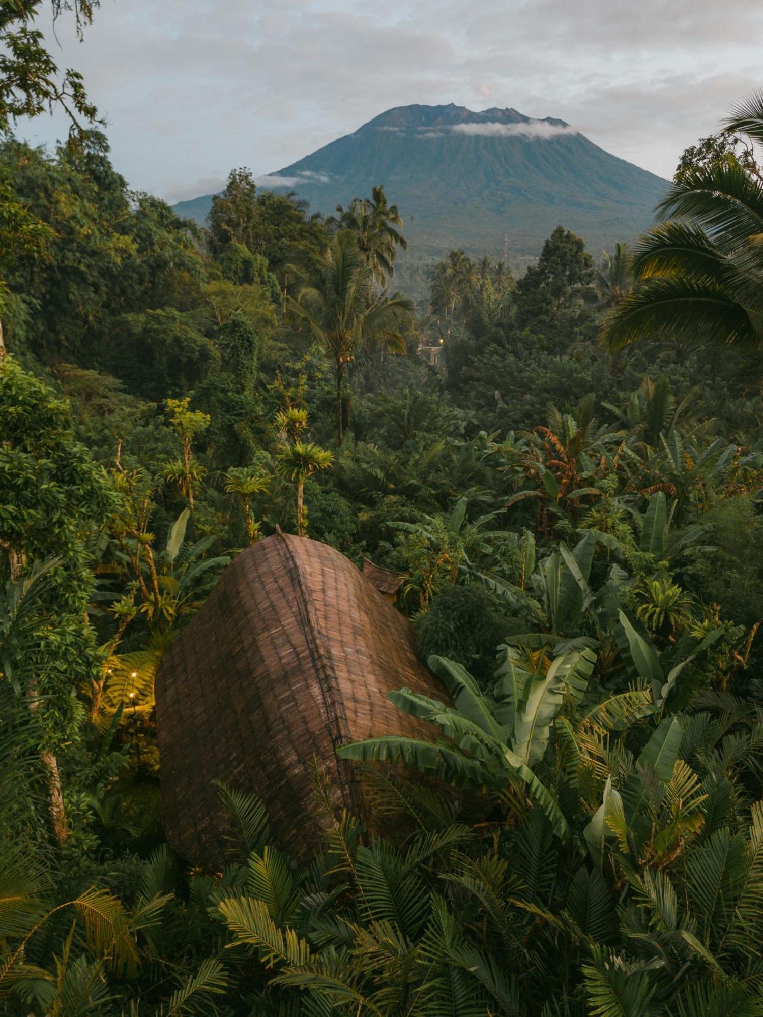 Arcada Bali Bamboo House Villa Sidemen  Bagian luar foto
